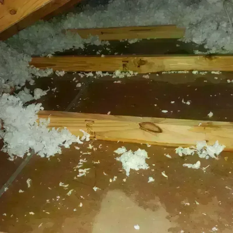 Attic Water Damage in Veedersburg, IN